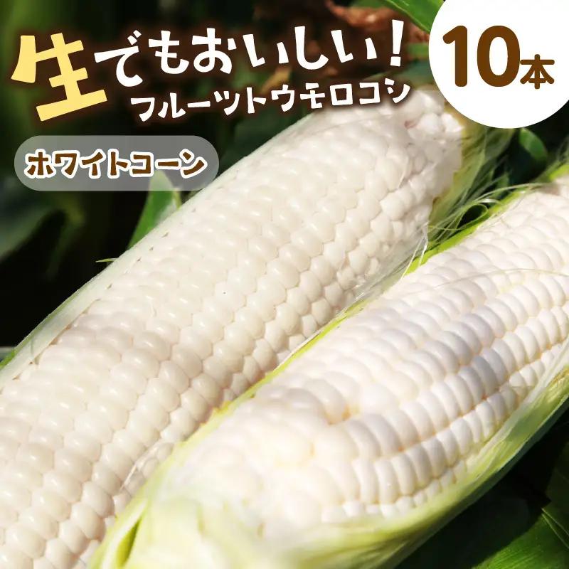 【先行予約】とうもろこし ホワイトコーン 10本 トウモロコシ