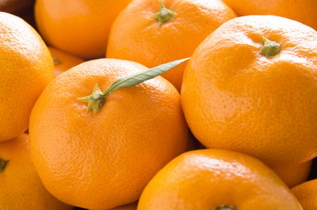 【産直・秀品】和歌山下津みかん 約5kg（2Sサイズ） ※2024年11月中旬～2025年1月中旬頃に順次発送予定