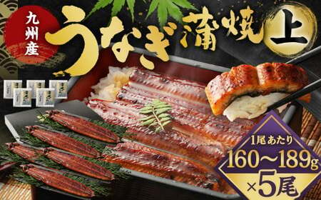 九州産 うなぎ 蒲焼 上 5尾 (1尾あたり160～189g)【2025年9月発送】