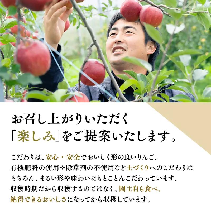 りんご 贈答用  ぐんま名月 約5kg りんご