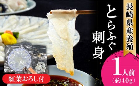【2025年1月〜発送】長崎県産 とらふぐ刺身1人前（皮、紅葉おろし、ポン酢付）/ ふぐ フグ 河豚 トラフグ ふぐ刺し / 南島原市 / 大和庵 [SCJ011]
