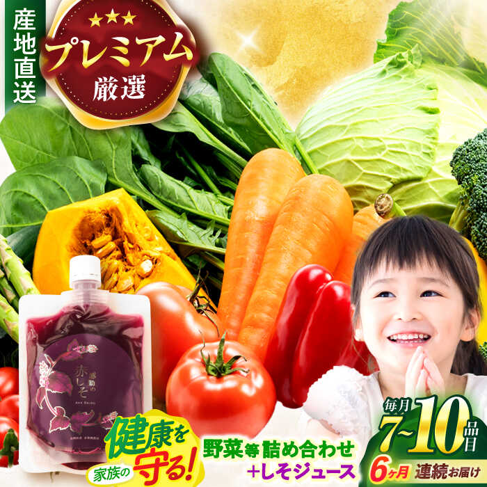 【ふるさと納税】【全6回定期便】【プレミアム】野菜・果物・きのこ詰め合わせ 7〜10品目 / 野菜 やさい 果物 くだもの フルーツ ふるーつ きのこ 旬 新鮮 セット / 諫早市 / 松尾農園 [AHAY021]