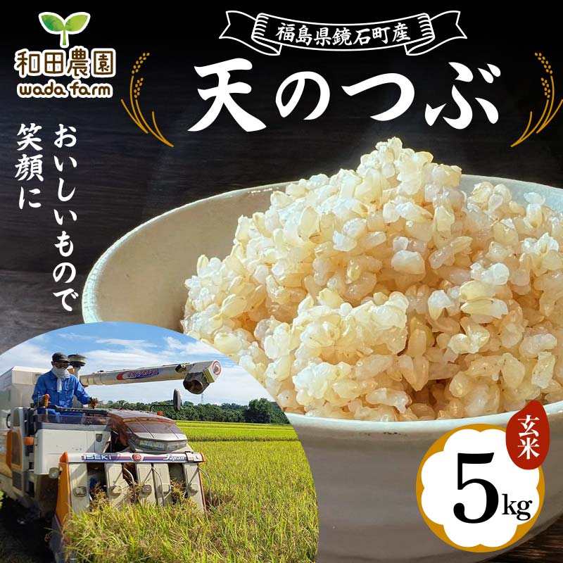 〈先行予約 2025年産米〉 福島県鏡石町産 和田農園「天のつぶ」玄米 5kg 米 コメ こめ  F6Q-191