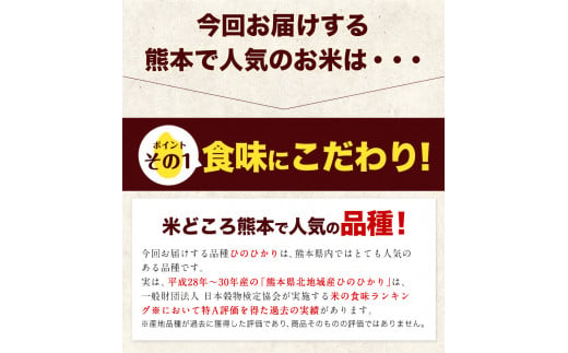 令和5年産 ひのひかり 白米 10kg 《7-14営業日以内に出荷予定(土日祝除く)》 5kg×2袋 熊本県産 米 精米 ひの 御船町---mf_hn5_wx_24_14500_10kg_h---