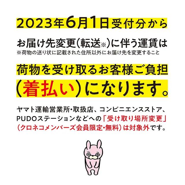 りんご シナノスイート 秀品 5kg 【10月中旬発送】 山形県 朝日町産 山形県産 特産 果物 フルーツ リンゴ 林檎 秋