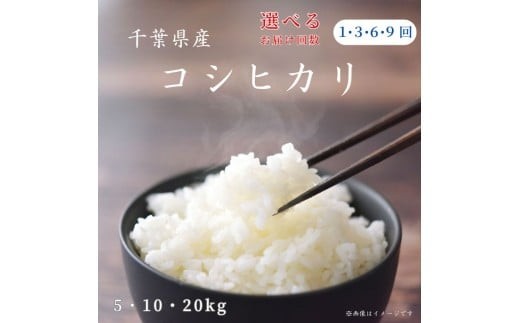 
                  《 令和8年産 》米 コシヒカリ 精米 5kg 10kg 20kg ／ 米 こめ コメ お米 おこめ コシヒカリ こしひかり 令和7年 白米 精米 ごはん ご飯 定期便 3回 6回 9回 送料無料
                