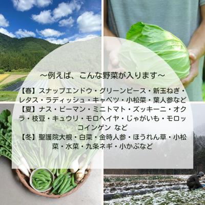 ふるさと納税 京都市 <定期便6回>【よしだのはたけ】旬の野菜8品 やさいBOX |  | 02
