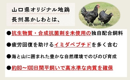 (10051)鶏肉 小分け 地鶏 国産 冷凍 希少 400g ぶっかけ飯 長州黒かしわ もも肉 パック ガラスープセット 深川養鶏  
