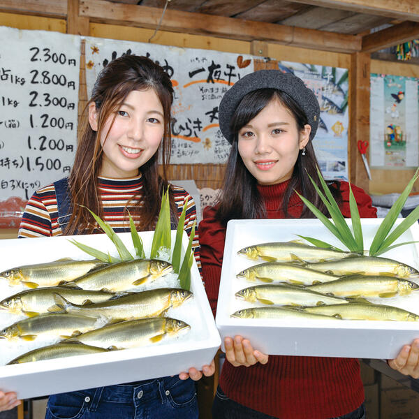 【先行予約】2026年7月上旬より発送開始　若鮎(生鮎)1㎏【冷蔵】 N070-YA3369_1