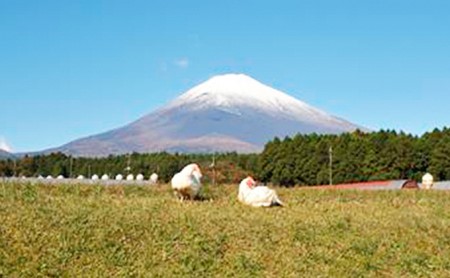 【太陽チキン】無添加スモークセット【肉　とり肉】◆