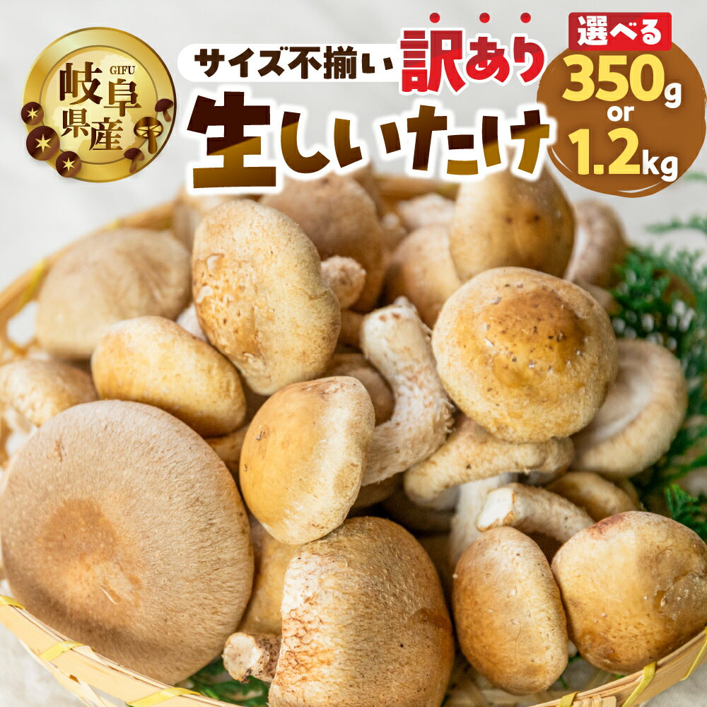 【ふるさと納税】【選べる】訳あり 生しいたけ 約 350g or 1.2kg 大容量 お試し サイズ 混合 不揃い おまかせ 簡易梱包 訳あり 訳アリ BBQ 野菜 栽培期間中 農薬不使用 岐阜県産 本巣市 国産 きのこ キノコ シイタケ 産地直送 新鮮 数量限定 冷蔵 モトスマッシュ [mt1622]