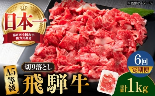 【6回定期便】【飛騨牛】A5等級 切り落とし 1kg × 6回 (計6kg) 和牛 ブランド牛 国産 牛肉 多治見市 / 渡辺精肉店 [TAZ016]