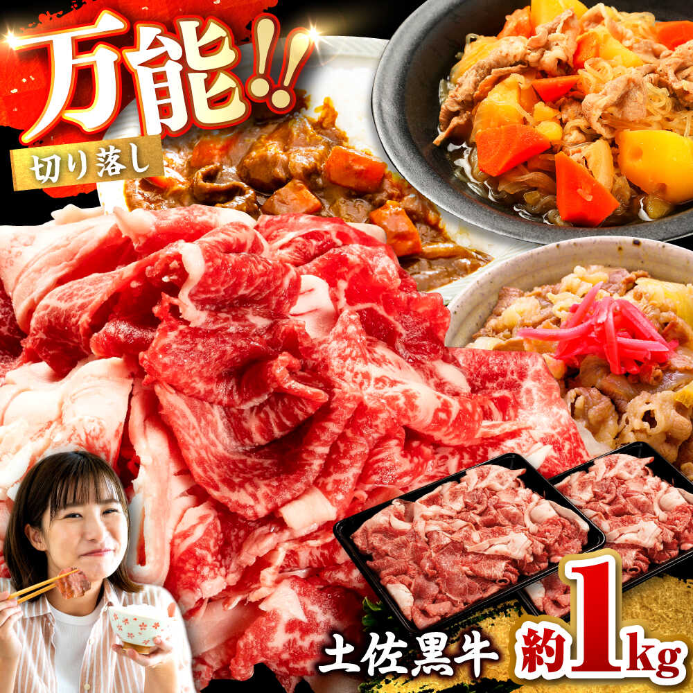 【ふるさと納税】土佐黒牛 切り落し 約1kg（約500g×2） / 贈答用 黒牛 土佐 和牛 牛 肉 お肉 ウデ モモ バラ 食品 冷凍 高知 【高知県食肉センター株式会社】[ATFC040]