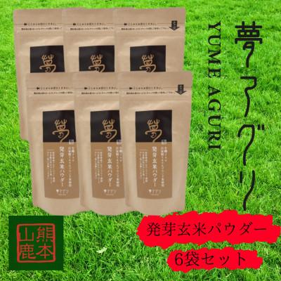 ふるさと納税 山鹿市 発芽玄米パウダー100g×6袋【株式会社夢アグリ】《山鹿市》