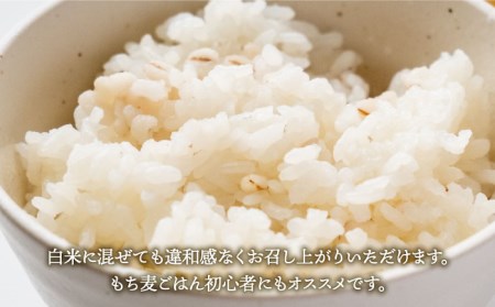 【全6回定期便】もち麦 キラリモチ 4kg（1kg×4袋）【大塚米穀店】雑穀 雑穀米[HBL040]