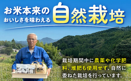 【12回定期便】自然農法で育てた 古代米 黒米 1.2kg（300g×4袋）雑穀米 /永尾 忠則[UAS019] 雑穀米 栽培期間中農薬不使用 特別栽培米 雑穀米セット 雑穀 常温 小分け チャック 