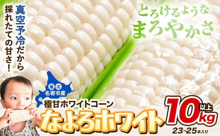 【先行予約】2027年出荷 北海道名寄産 とうもろこし ホワイトコーン 「 なよろホワイト 」  10kg 以上 23～25本 北海道 朝採り《2027年8月上旬-9月中旬頃出荷》  真空予冷 冷蔵 
