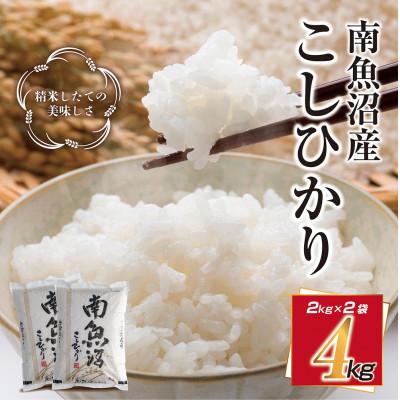 ふるさと納税 南魚沼市 新潟県 南魚沼産 コシヒカリ お米 2kg ×2個 こしひかり 計4kg (美味しい炊き方ガイド付)