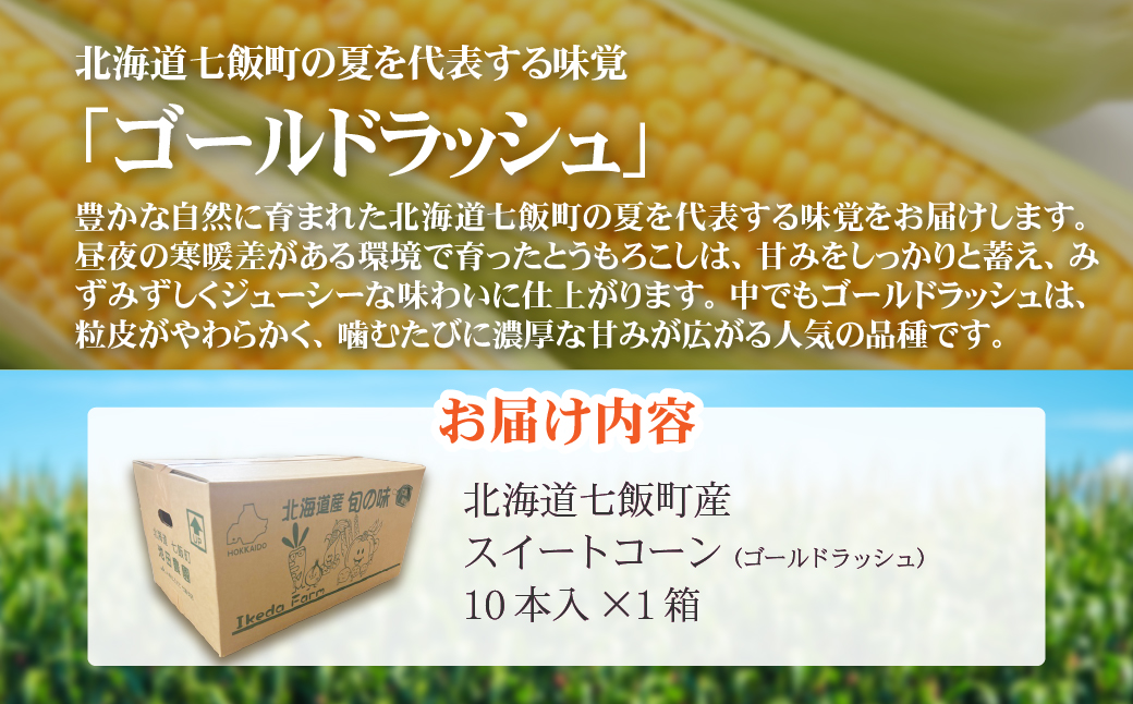 七飯町産スイートコーン（ゴールドラッシュ）10本入×1 NABK004