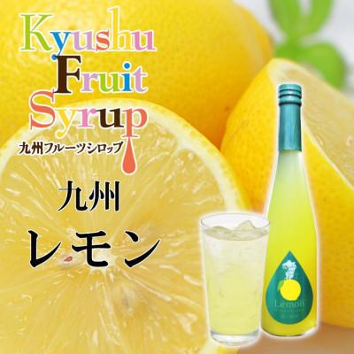 ふるさと納税 水俣市 九州を飲む! 九州果実 シロップ 九州レモン 500ml 1本 【福田農場】