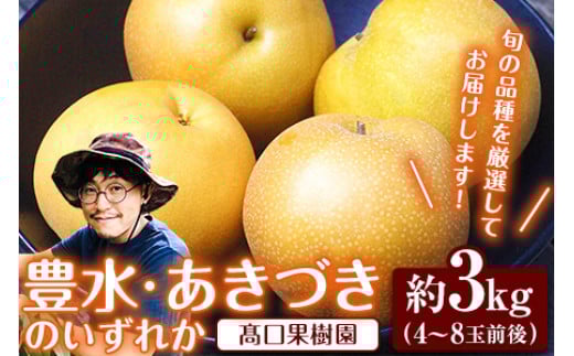 
            【2026年 先行予約】 旬の梨 あきづき 豊水 のいずれかをお届けします！ 荒尾梨 約3kg (4～8玉前後) 熊本県荒尾市産 髙口果樹園《2026年9月上旬-9月下旬頃出荷》フルーツ 果物
          