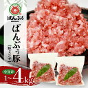 【ふるさと納税】ブランド豚「ばんぶぅ」小分け ミンチ 選べる 1kg 2kg 4kg 冷凍便 1キロ たっぷり 豚肉 豚ミンチ 豚ひき肉 豚挽き肉 豚挽肉 キーマカレー ぶた肉 ブタ肉 国産 茨城県産 ギフト プレゼント お祝い ご褒美