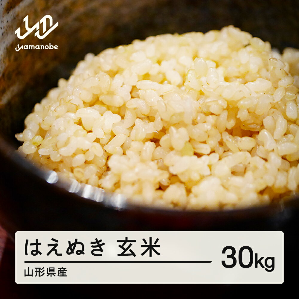 【ふるさと納税】《先行予約》米 はえぬき 玄米 30kg 2025産 令和7年産 山形県産 2025年11月上旬から順次発送 お米 米 ブランド米 こめ 送料無料 wn-hagxb30 ※沖縄・離島への配送不可