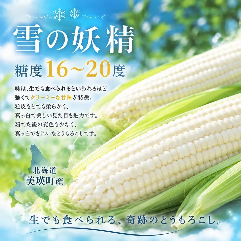 【令和9年産 先行予約】とうもろこし 雪の妖精 20本 白 とうもろこし 北海道