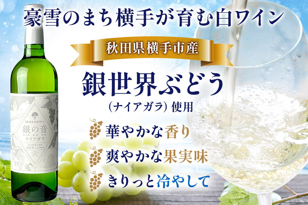 白ワイン 銀の音ナイアガラ 720ml×12本 [白ワイン ワイン ナイヤガラ お酒]