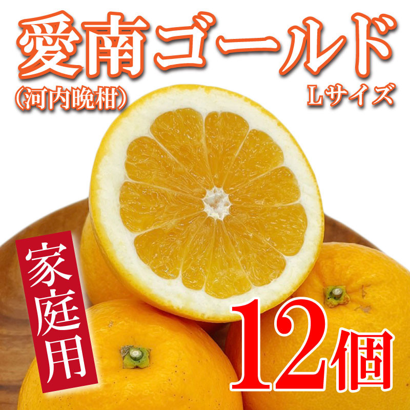 
愛南ゴールド Lサイズ 12個 河内晩柑 ばんかん 和製 グレープフルーツ 文旦 柑橘 3月 蜜柑 家庭用 愛媛 愛南 フジ・アグリフーズ 国産 フルーツ 果物 愛媛県 愛南町 発送期日 4月中旬～5月中旬 (なくなり次第終了)
