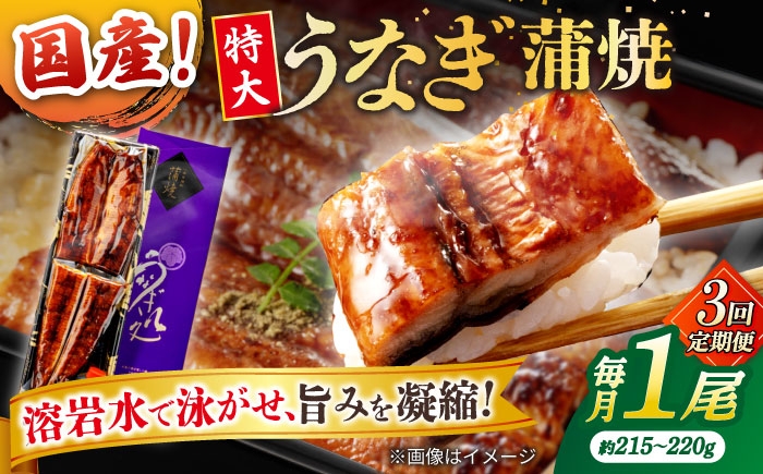 
                  【3回定期便】うなぎ老舗専門店のパリっとふっくら国産うなぎ 蒲焼1尾(蒲焼のタレ付き) 島根県松江市/株式会社山美世商会 [ALDC007]｜国産 うなぎ ウナギ 鰻 特大 蒲焼き 蒲焼 国産 冷蔵 うな重 定期便 
                