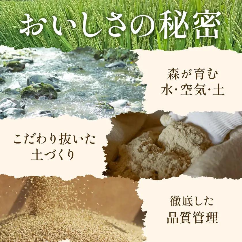 令和7年産 特別栽培米 おぼろづき＆ななつぼし 各5kg 計10kg 食べ比べセット 北海道