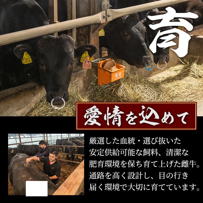 s590 ＜先行予約受付中！2025年1月中旬より順次発送予定＞鹿児島県産 北さつま高崎牛 切り落とし肉 (計約1kg・約200g×5)黒毛和牛 A5ランク A5 雌牛 切落し 切り落し  牛肉 小分