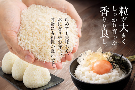 【お歳暮 外熨斗対応可能】大ぶとりセット【太らせ上手（白米＋もち米＋八分付き）】お米 米 あいちのかおり おにぎり お弁当 玄米 米粉 グルテンフリー パン作り お菓子作り