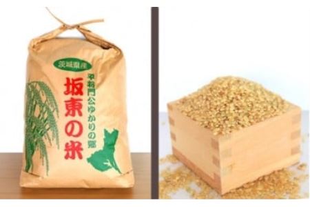 No.175 【令和5年産】茨城県坂東産　コシヒカリ10kg（玄米）