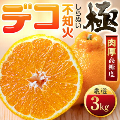 【ふるさと納税】【太陽をたっぷり浴びた】デコ(不知火)【極】2kg～_ みかん ミカン 柑橘 不知火 しらぬい デコ 果物 くだもの フルーツ 甘い 希少 愛媛 デザート 愛媛みかん 密柑 高糖度 極 ジューシー 果汁たっぷり 厳選 【G1509742】