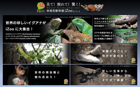 パスポート イズー カワズー 大人2名 ペア パスポート