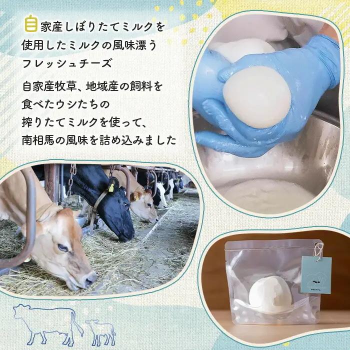 手作りモッツァレラチーズ | モッツアレラチーズ 福島県 南相馬市