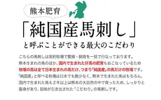 馬刺し 上赤身 ブロック 《10月中旬-12月末頃出荷》 国産 熊本肥育 冷凍 生食用 たれ付 100g×3セット 肉 絶品 ---gkt_fkgakm_bc1012_12000_300gt---