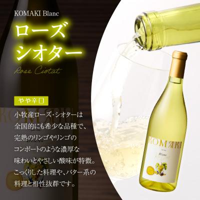 ふるさと納税 小牧市 小牧ワイナリ― 赤・白ワイン2本セット【限定50セット】(小牧産ぶどう100%使用)[026A10] |  | 02