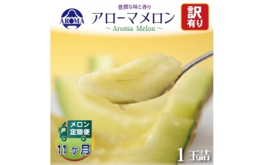 ＜毎月定期便＞＜訳あり＞アローマメロン 1玉　全11回【4071995】