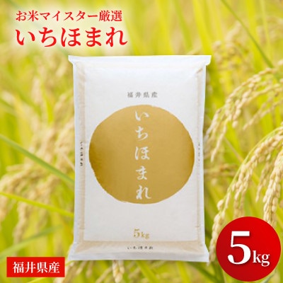 福井県産【令和7年産】いちほまれ 5kg【1713905】