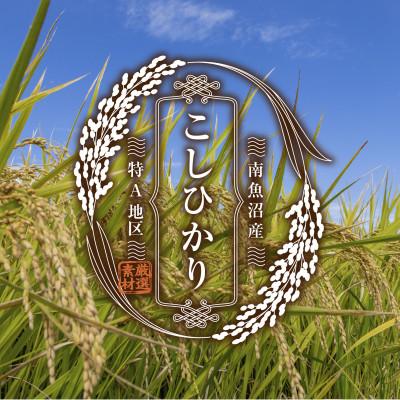 ふるさと納税 南魚沼市 南魚沼産 コシヒカリ 玄米 2kg×2袋 こしひかり 新潟県 米 玄米食  普通に炊ける |  | 03