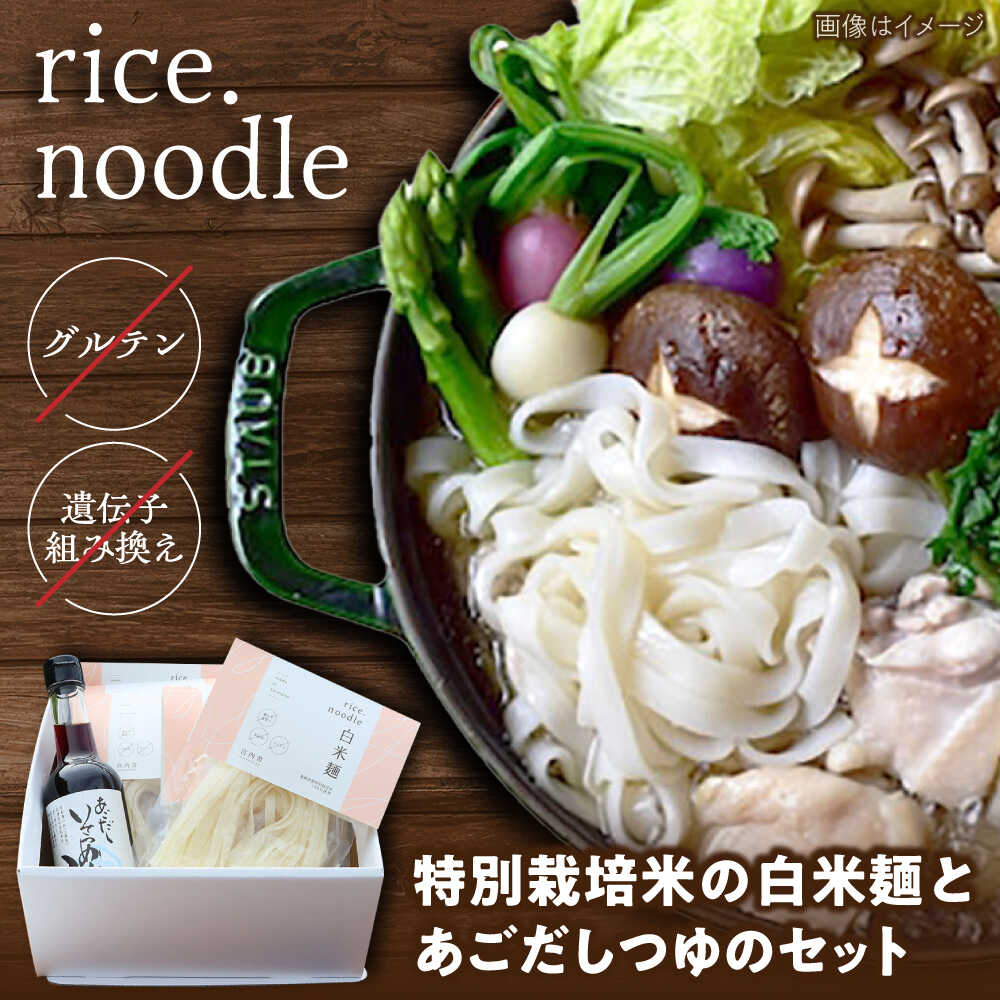 【ふるさと納税】 白米麺 グルテンフリーの白米麺と日本海のあごだし麺つゆセット（6食） 米粉麺 ライスヌードル 麺類 めん 白米麺 乾麺 セット あごだし つゆ付き ヘルシー グルテンフリー アレルギー対応 人気 おすすめ 島根県雲南市/合同会社 宮内舎[AIBM003]