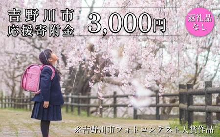 【 返礼品なし 3,000円  】 徳島県 吉野川市 への 寄附 応援寄附金