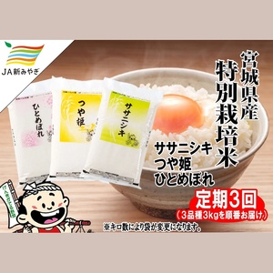 【定期便】元気くん市場　お米３品種順番でお届け（ササニシキ・つや姫・ひとめぼれ）　3kg×3回【3ヶ月連続でお届け】【mygs-tkb003】