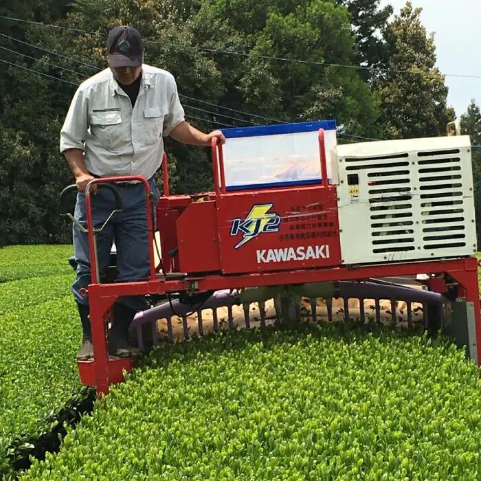 紅茶 うれしの紅茶生産者KJセット NAP003 