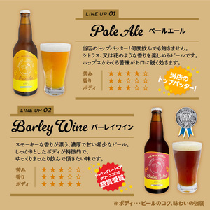 H01002　モンキーマウンテン　クラフトビール　6種飲み比べセット