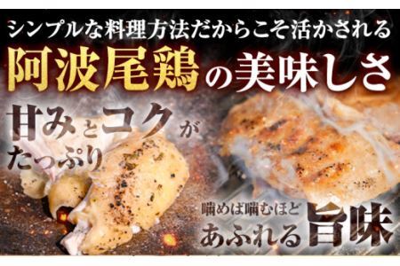 阿波尾鶏 鶏肉 もも肉 500g × 4パック 計2kg 岸農園 《30日以内に出荷予定(土日祝除く)》鶏肉 もも肉 お肉 鳥肉 とり肉 阿波尾鶏 地鶏 大容量 小分け 国産 徳島県産 唐揚げ から揚