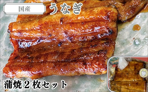 
                  国産うなぎ（蒲焼）2枚　セット  ／ ふるさと納税 うなぎ 鰻 国産 かば焼き 蒲焼 2枚 ふっくら 自家製 タレ 冷凍 温めるだけ 千葉県 大網白里市 AT002
                